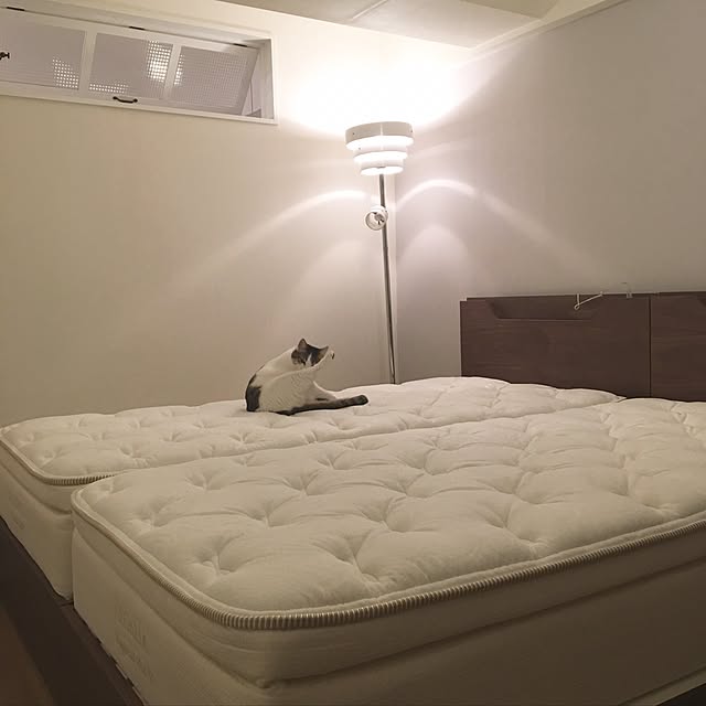 Aiさんの実例写真