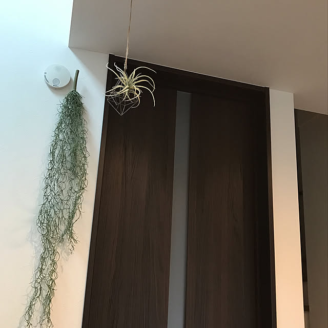 KURU_369さんの実例写真