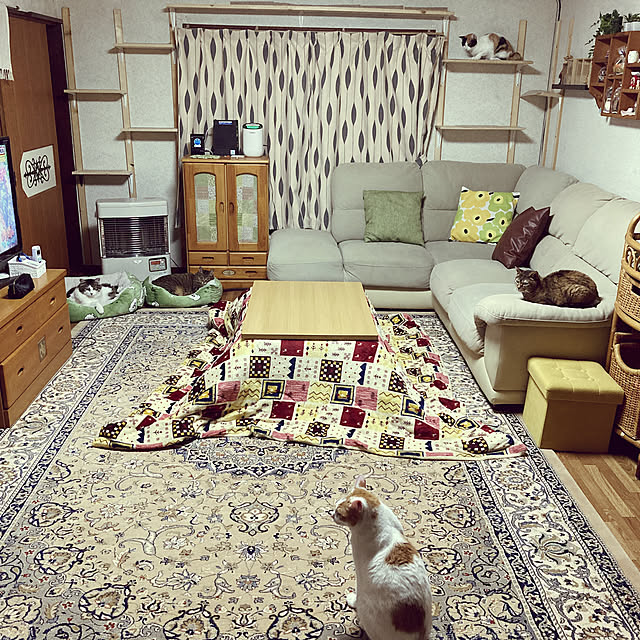 maruさんの実例写真