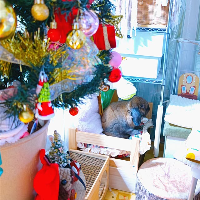 mariaさんの部屋