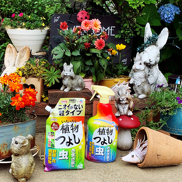 taeさんの実例写真