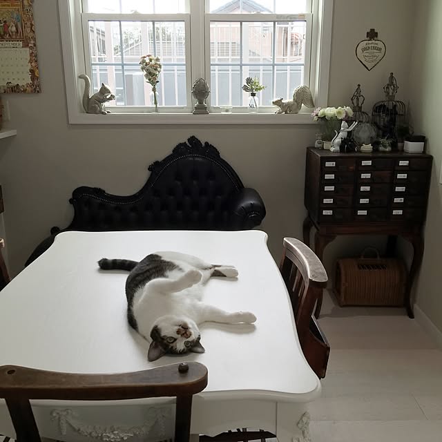 yuchiさんの実例写真