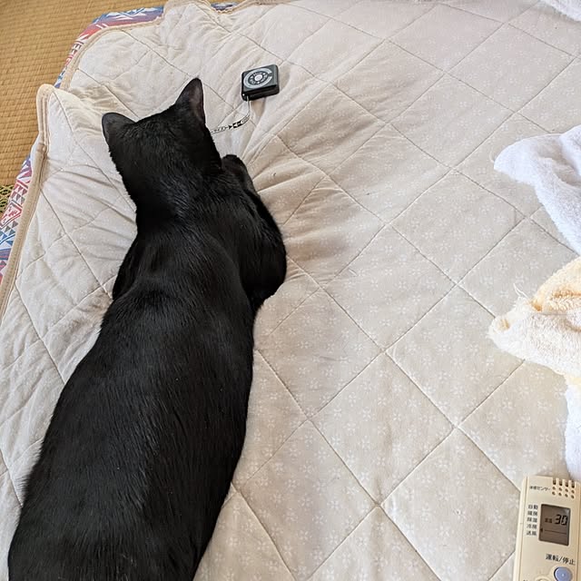 asaさんの部屋