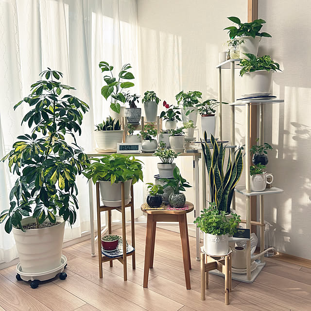 yoyoyoさんの実例写真