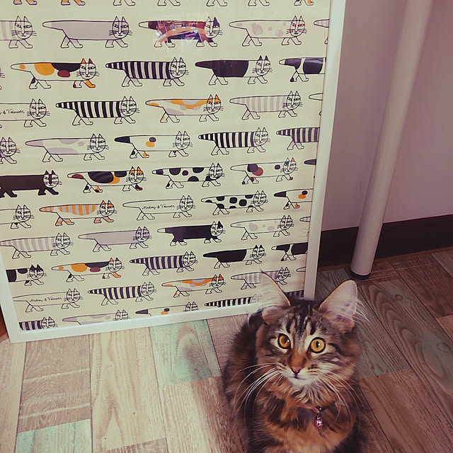 EMRさんの実例写真