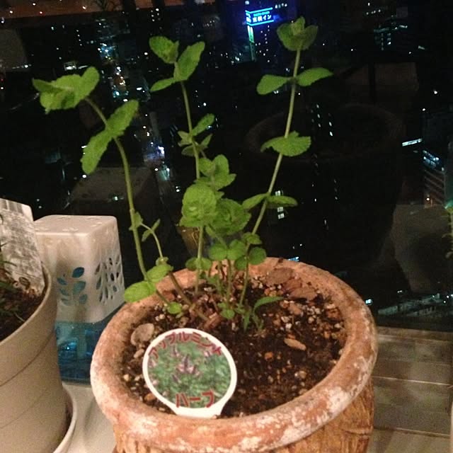 Etsukoさんの実例写真