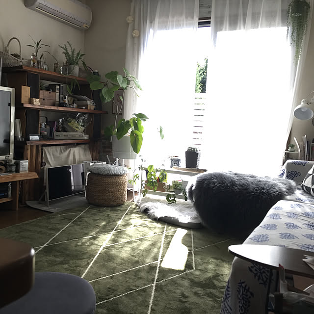sayuringさんの実例写真