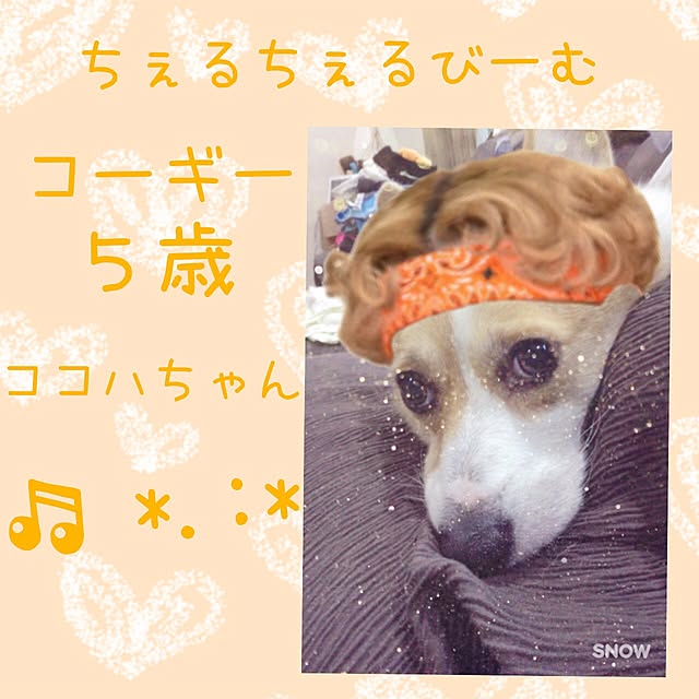 pink.さんの実例写真
