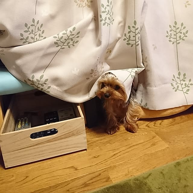 akiさんの実例写真
