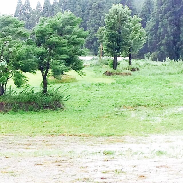 Makiさんの実例写真