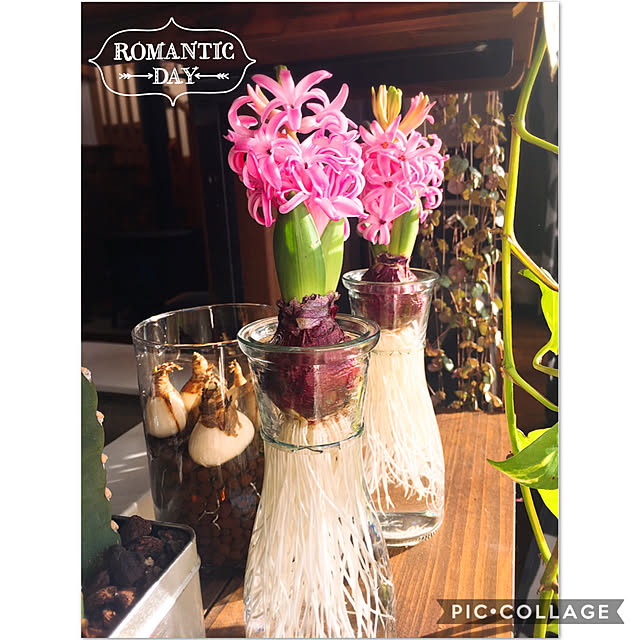 Romeさんの実例写真