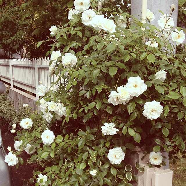 take2000kbさんの実例写真