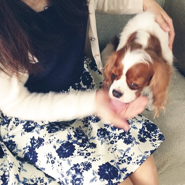mamakoさんの実例写真