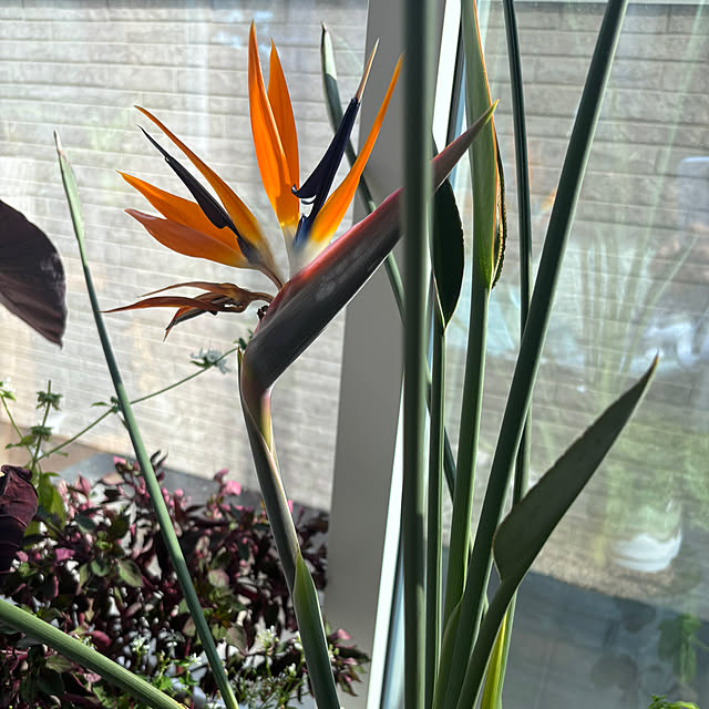 AandTさんの実例写真