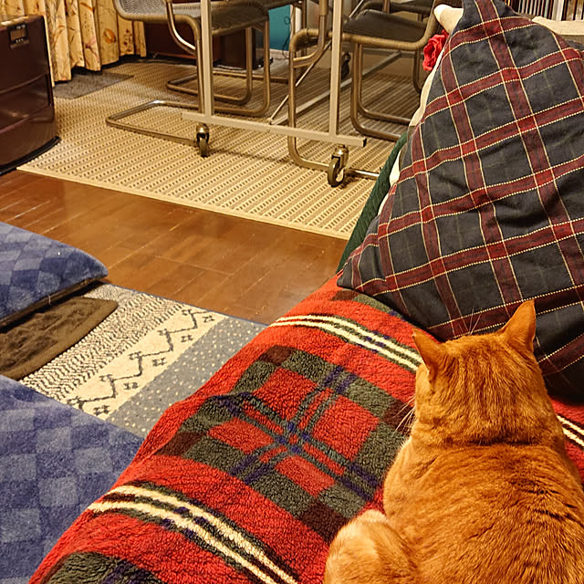 okyosan101さんの実例写真
