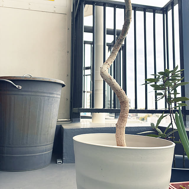 Higashiさんの実例写真