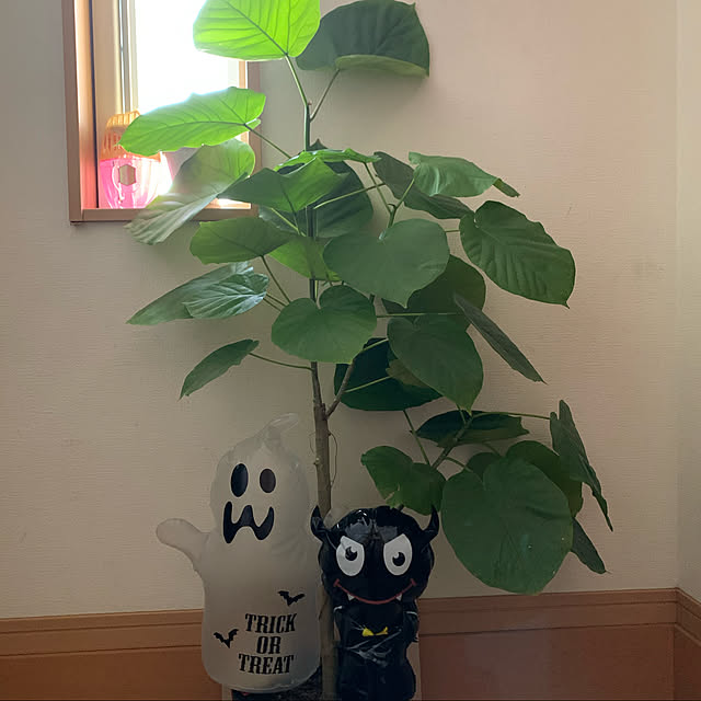 mohimikanさんの実例写真