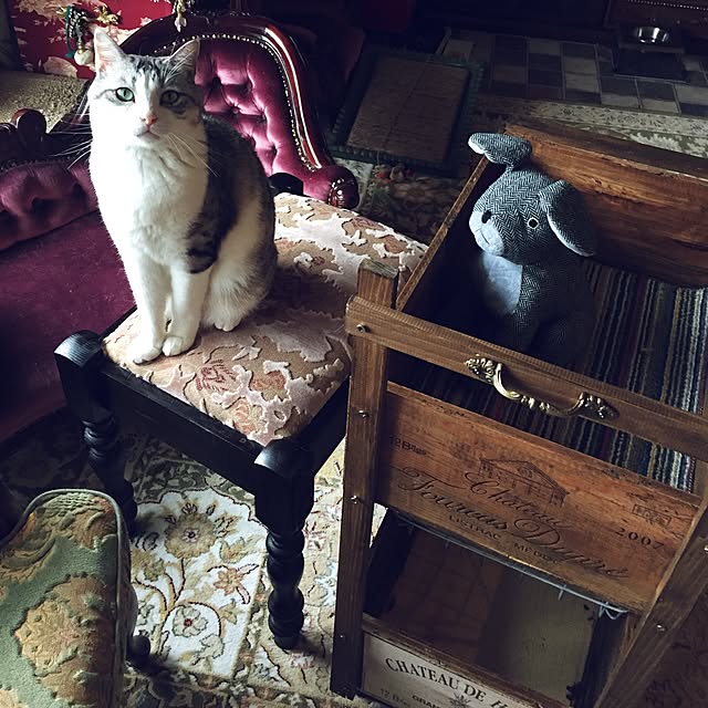 emmyyさんの実例写真