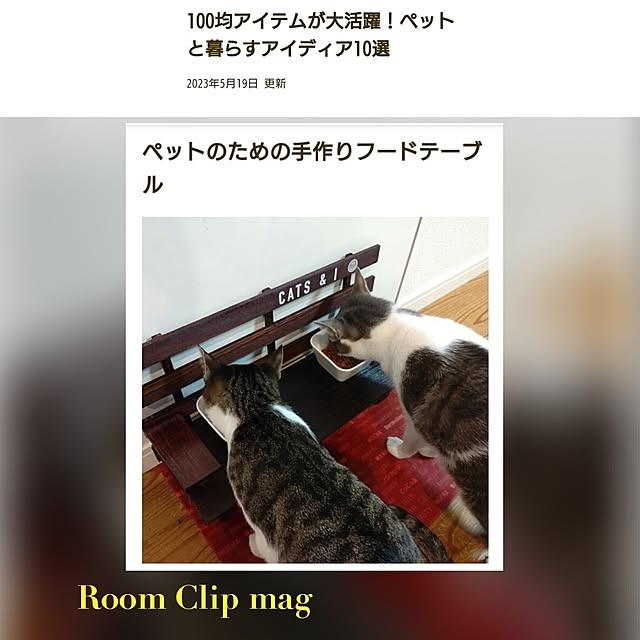 38catさんの実例写真