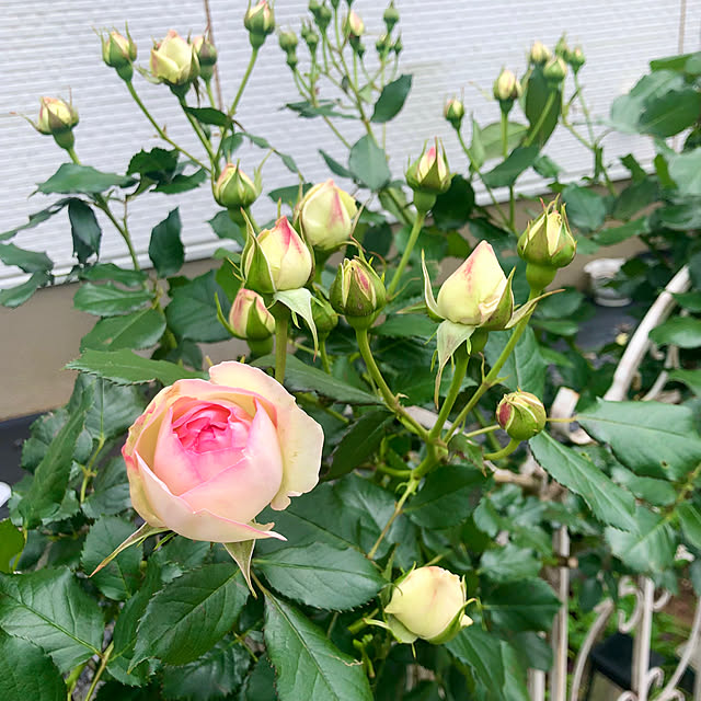 tomoさんの部屋