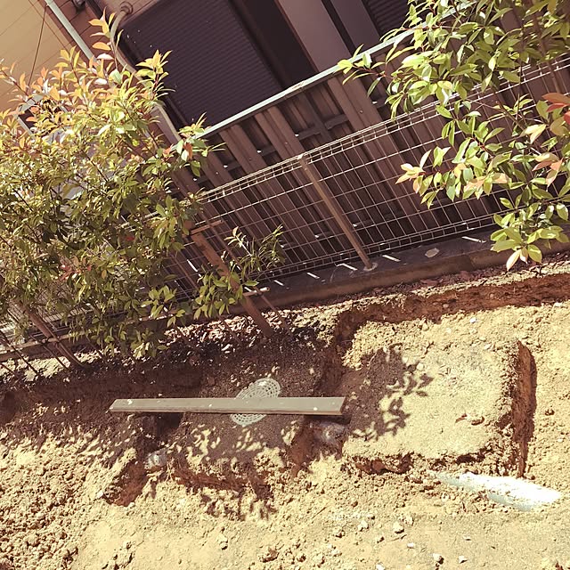 Rachelさんの実例写真