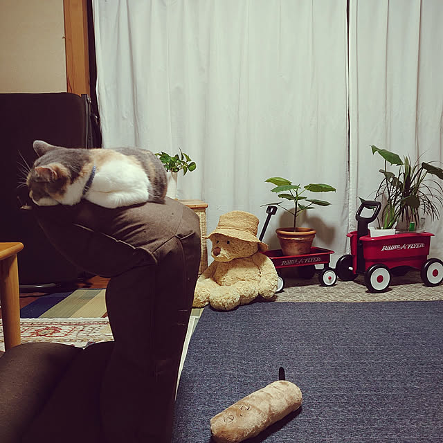 fukuさんの実例写真