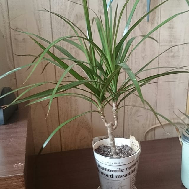 take4145さんの実例写真