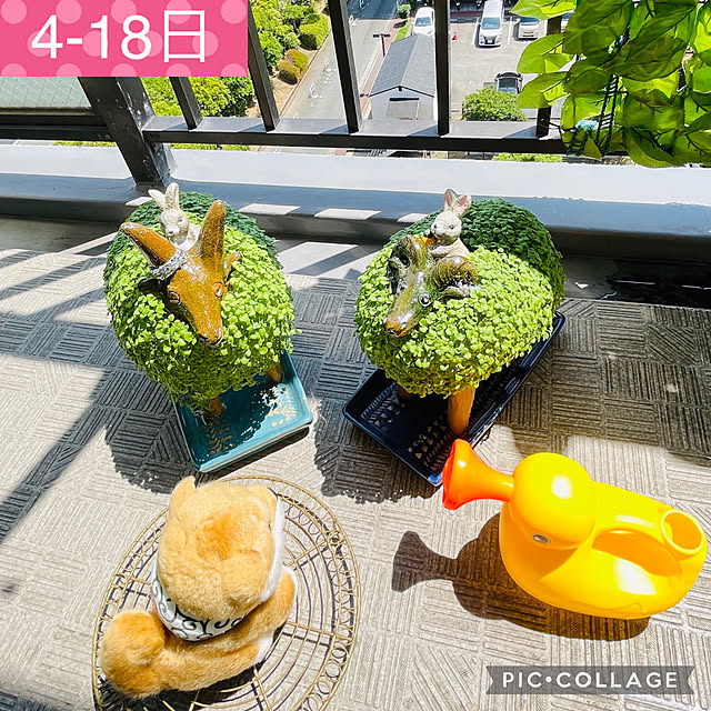 aureaさんの実例写真