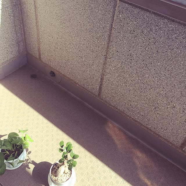 GUUUUさんの実例写真