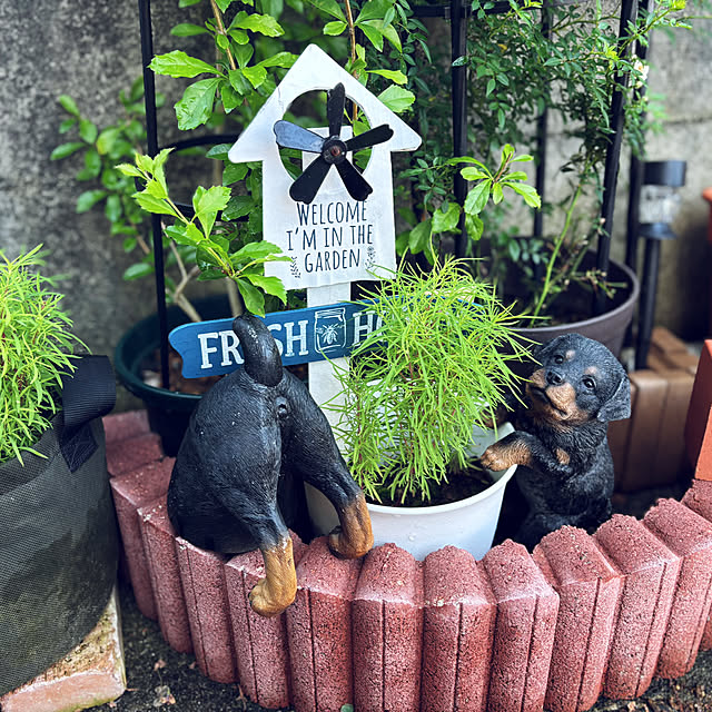 CoCo0617さんの実例写真