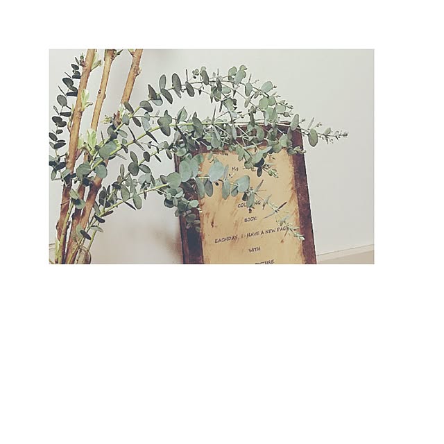 k_a-zuさんの実例写真