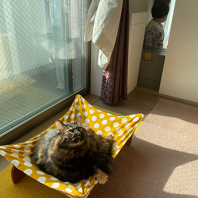 mikomaruさんの実例写真