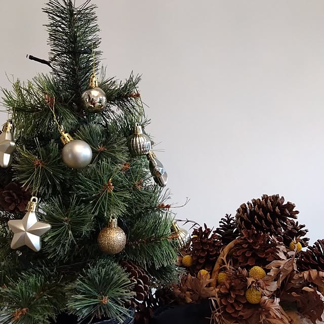 maki0828さんの実例写真