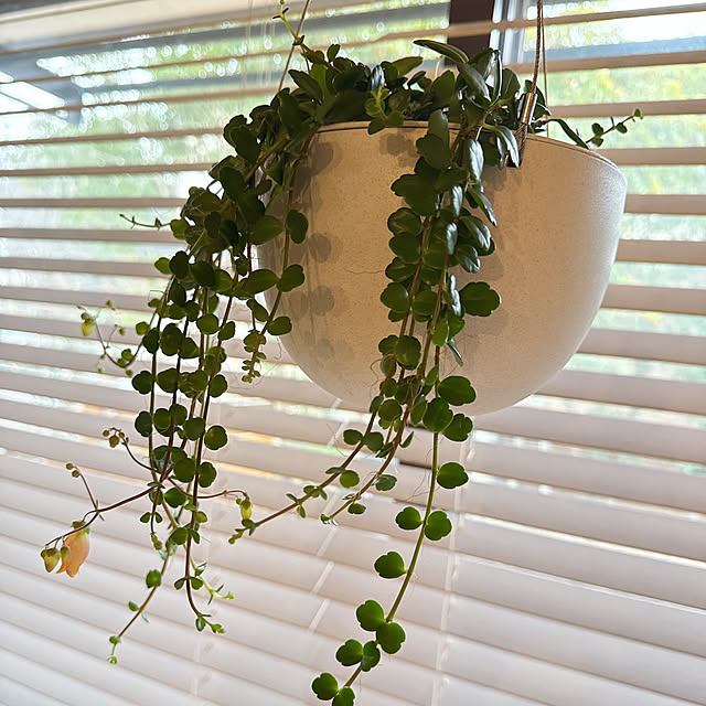 chinaさんの部屋