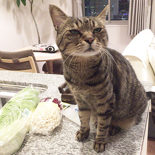 実例写真
