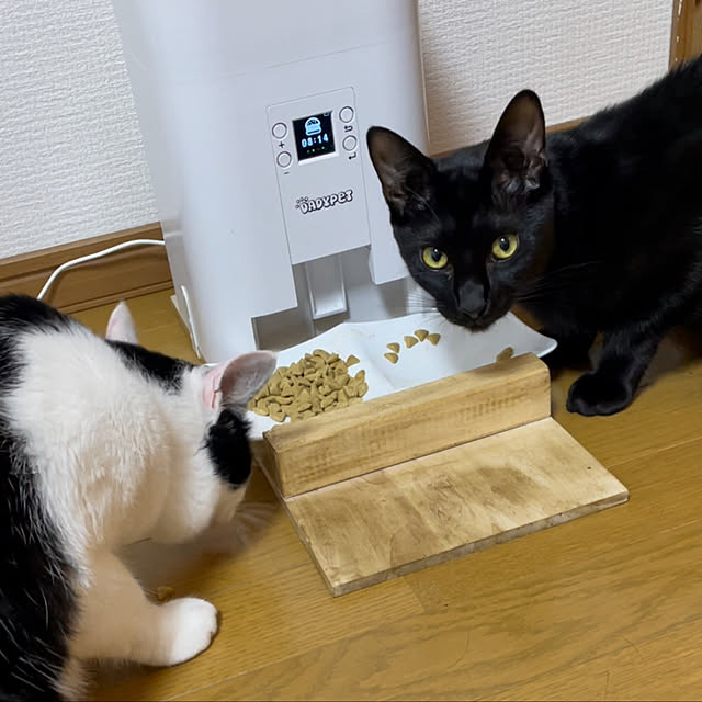 harukaさんの実例写真