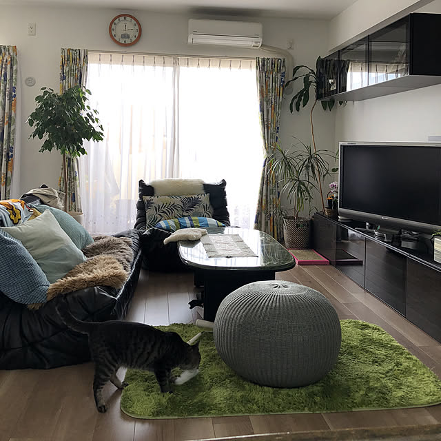実例写真