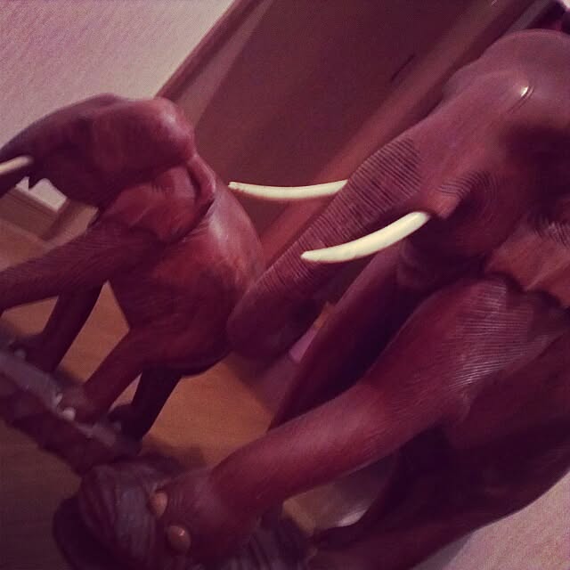 M-eさんの実例写真