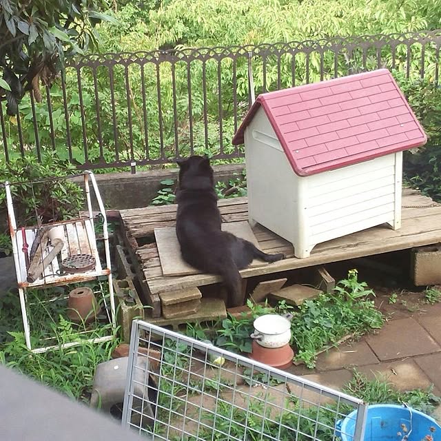sadyさんの実例写真