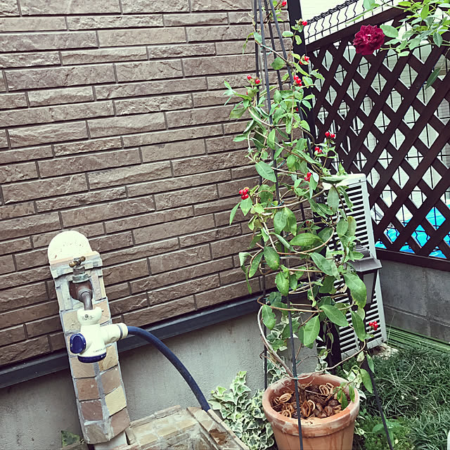 gin_mamaさんの実例写真