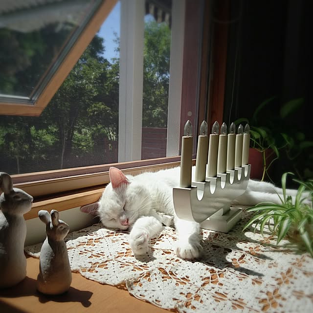 mimiさんの実例写真