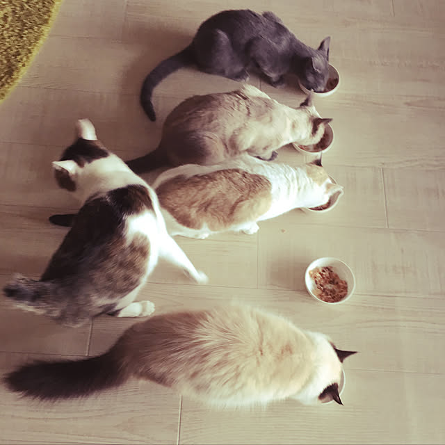 niko-25さんの実例写真