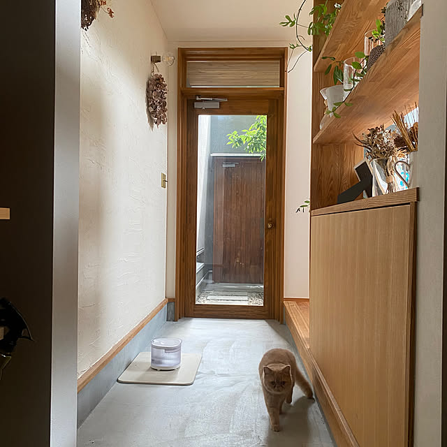 sznoieさんの部屋
