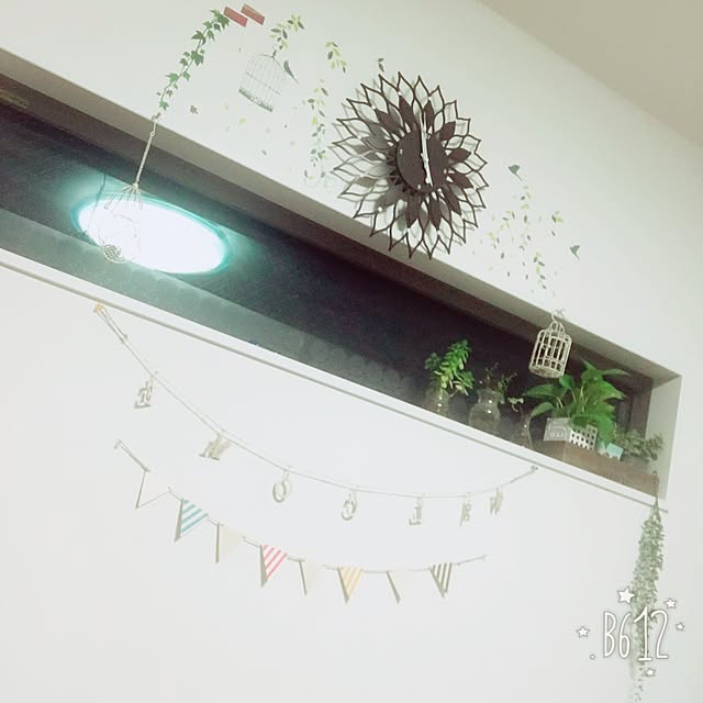 20hakuさんの実例写真