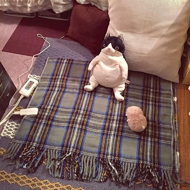 papillonさんの実例写真