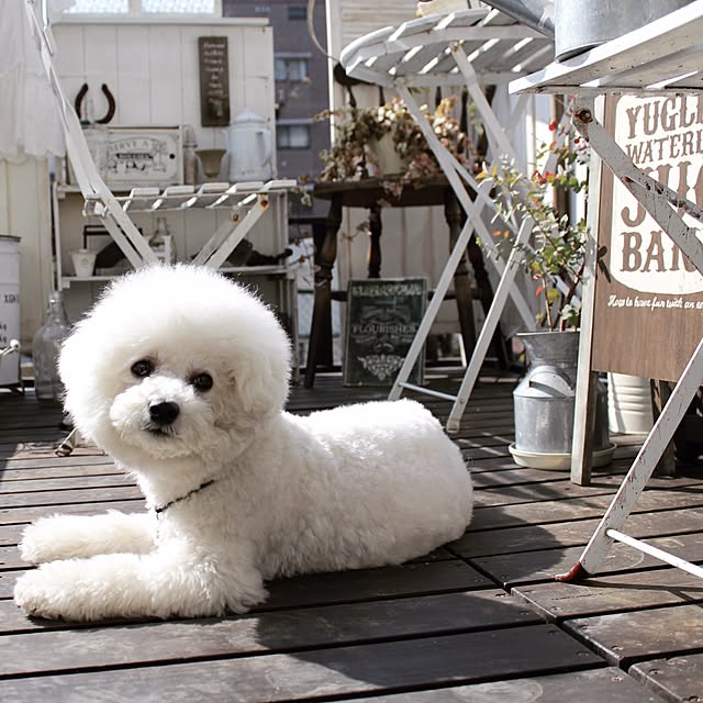 happy_bridgeさんの実例写真