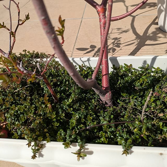 minnieさんの部屋