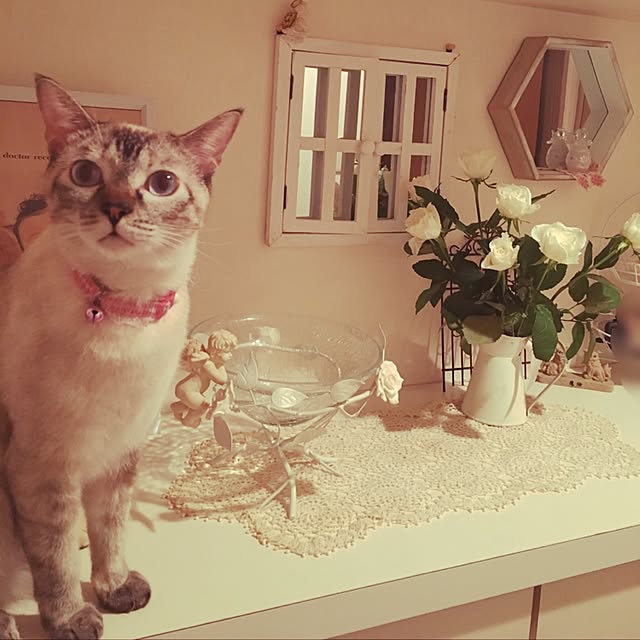 noelさんの実例写真