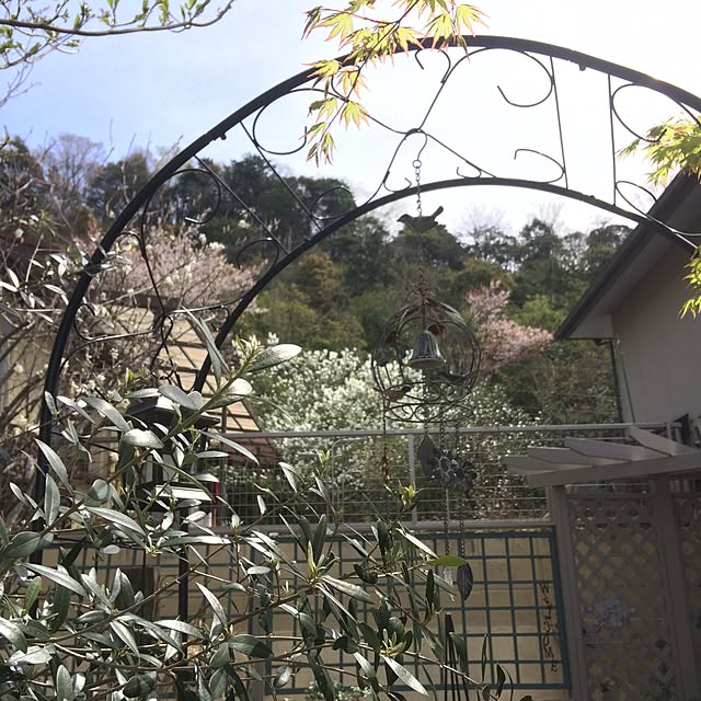 amiさんの実例写真