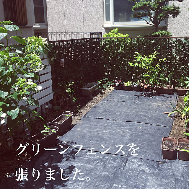 paru_kichiさんの実例写真